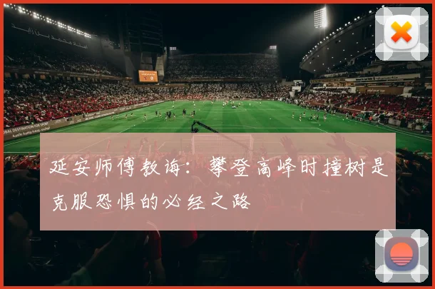 延安师傅教诲：攀登高峰时撞树是克服恐惧的必经之路
