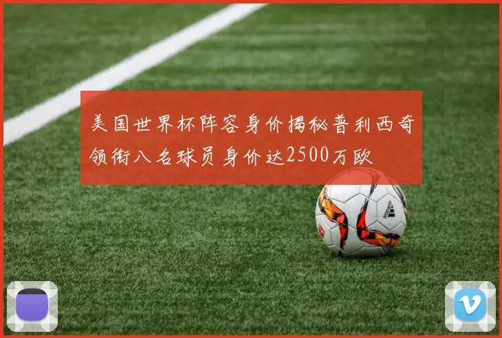 美国世界杯阵容身价揭秘普利西奇领衔八名球员身价达2500万欧